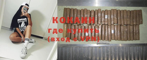 индика Алапаевск