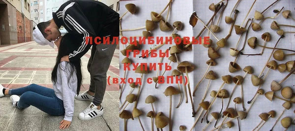 mdpv Горнозаводск
