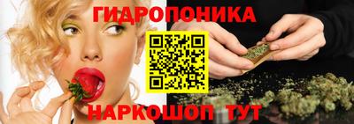 сатива Гусиноозёрск