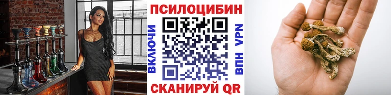 магазин продажи   Железноводск  Галлюциногенные грибы мухоморы 