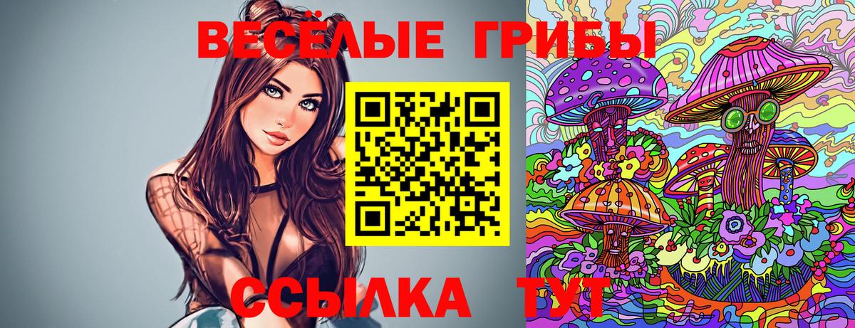 Галлюциногенные грибы мухоморы Железноводск