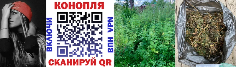 где купить наркоту Железноводск Шишки марихуана SATIVA & INDICA