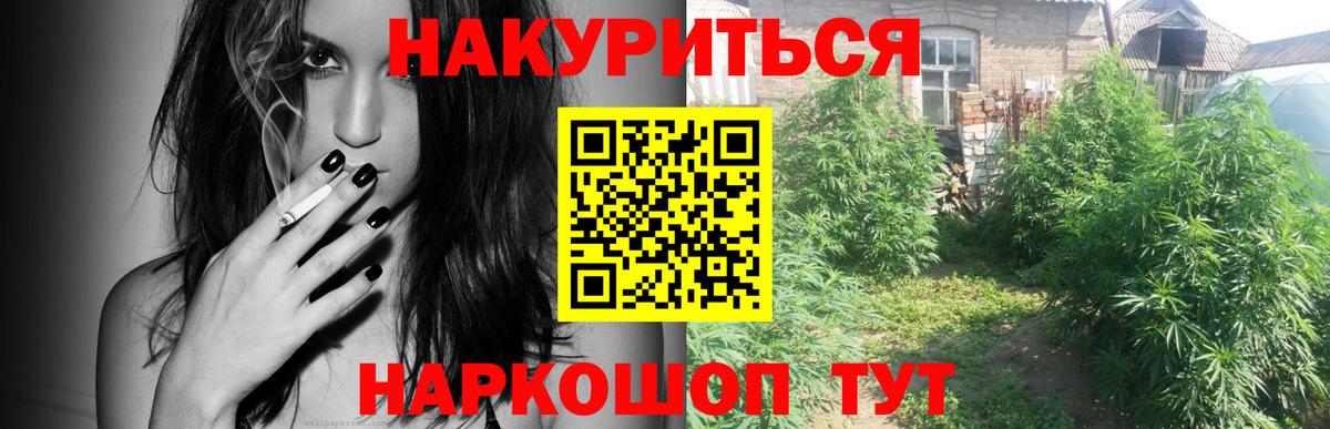 МАРИХУАНА ГИДРОПОН  Бошки Шишки White Widow  Железноводск  Конопля AK-47  Каннабис планчик  Вход с VPN 